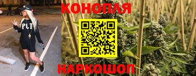 мдпв Обнинск