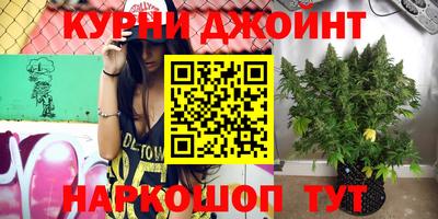 стафф Обь