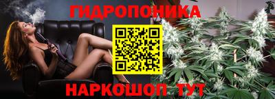 стафф Обь
