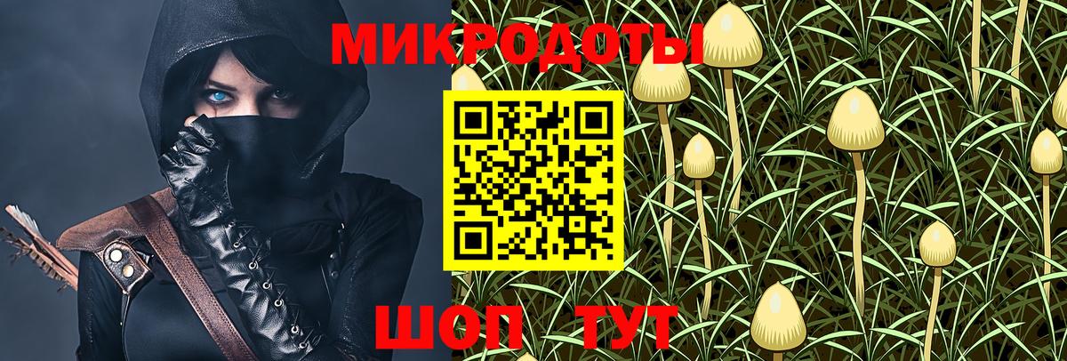 Галлюциногенные грибы Cubensis Петрозаводск