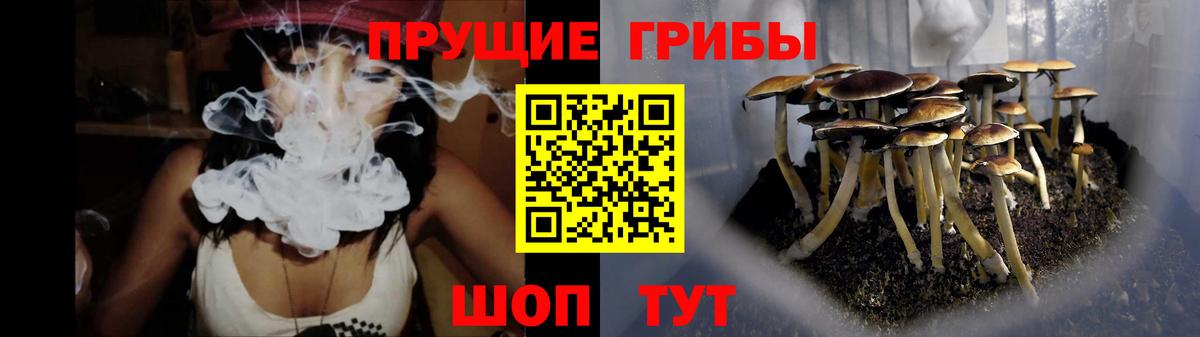 Галлюциногенные грибы ЛСД  Вход с VPN  Петрозаводск  Галлюциногенные грибы мухоморы 